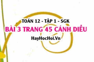 Bài 3 trang 45 Toán 12 tập 1 Cánh Diều